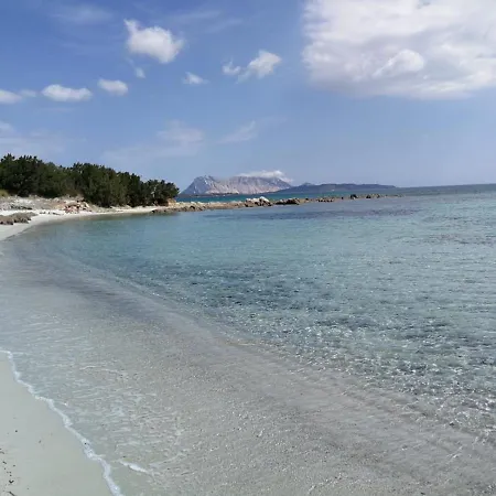 Villino Cala D' Ambra San Teodoro * San Teodoro (Sardinia)